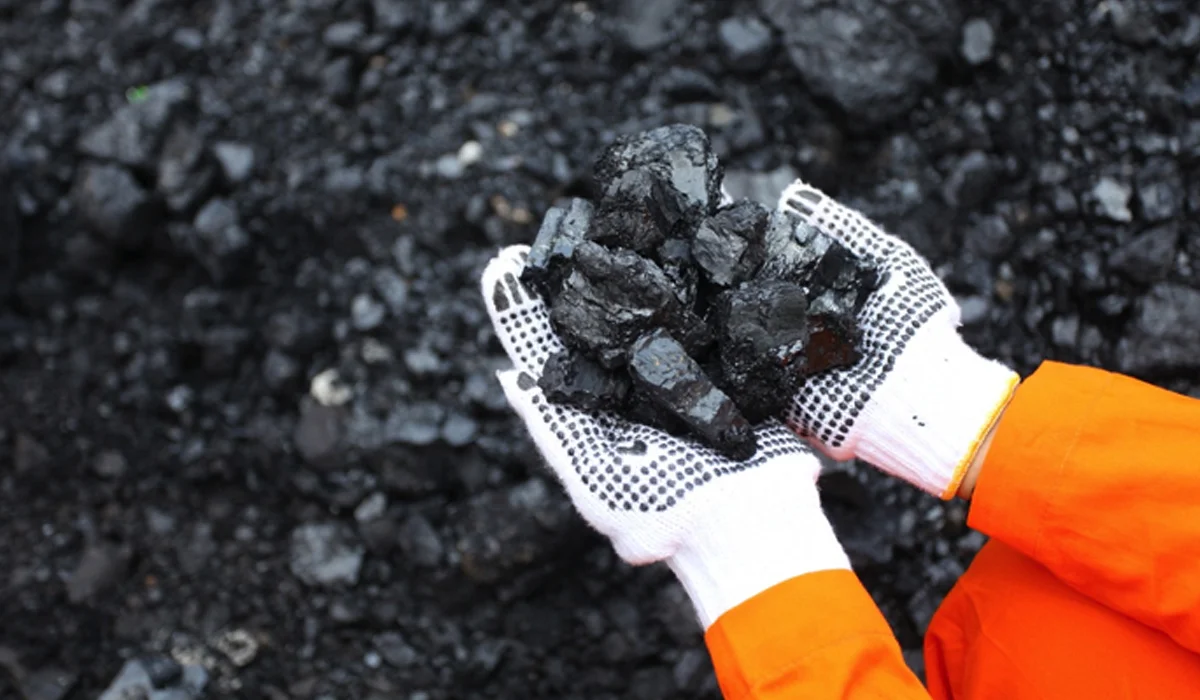 Harga Batu Bara China Anjlok Usai Kenaikan Empat Hari Beruntun
