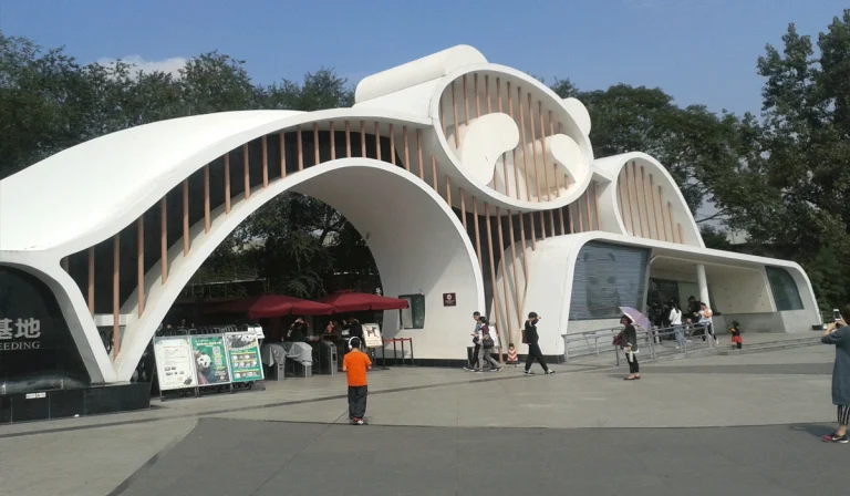 Liburan Seru Bersama Panda di Chengdu Panda Base China