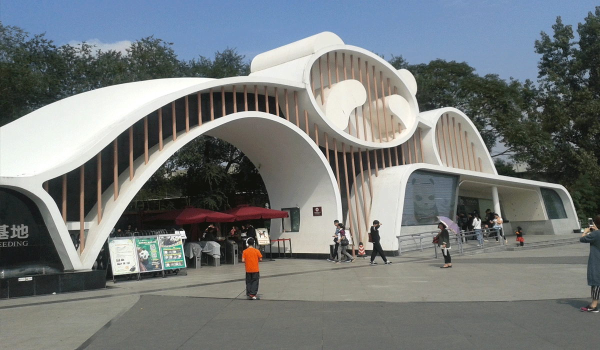 Liburan-Seru-Bersama-Panda-di-Chengdu-Panda-Base-China